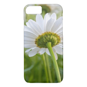Case-Mate iPhone Case macro marguerite blanche