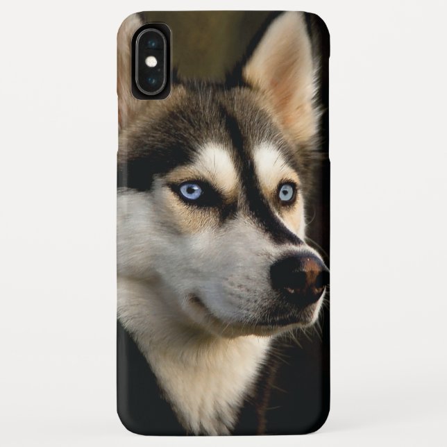 Coques Case-Mate iPhone Magnifique Coussin de Jet Husky (Dos)