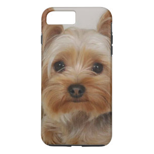 Coque iPhone 7 Plus Magnifique Yorkshire Terrier