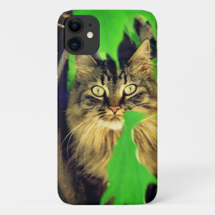 Case-Mate iPhone Case Maine Coon dans l'arbre