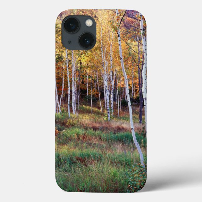 Coques Case-Mate iPhone Maine, Parc national d'Acadia, Automne (Verso)