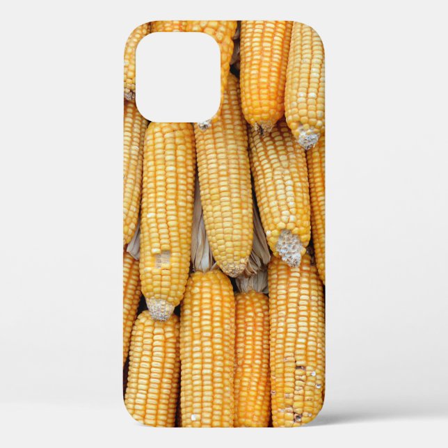 Coques Case-Mate iPhone Maïs séché empilé. (Verso)