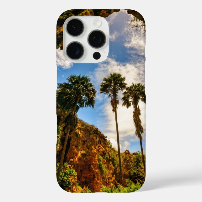 Coques Case-Mate iPhone Makauwahi Cave Palm Trees, Kauai, Hawaii (Verso)
