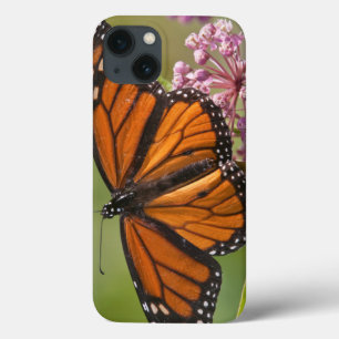 Coques Pour iPhone Mâle de papillon de monarque sur le Milkweed de