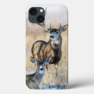 Etui iPhone 13 Mâle et daine de cerfs communs de mule