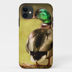 Coques Pour iPhone Mallard Duck