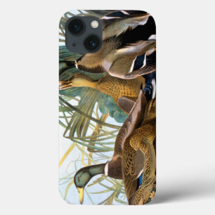 iPhone 13 Coque Mallard Duck