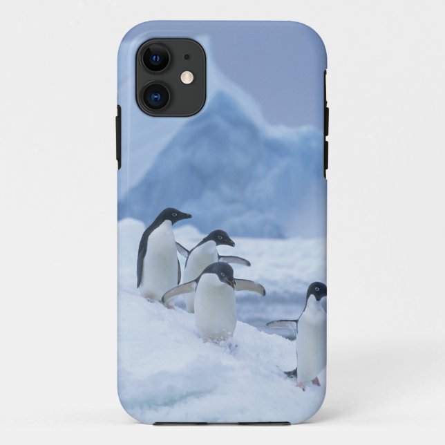Coques Case-Mate iPhone Manchots Adélie (Pygoscelis adeliae) sur la glace, (Dos)