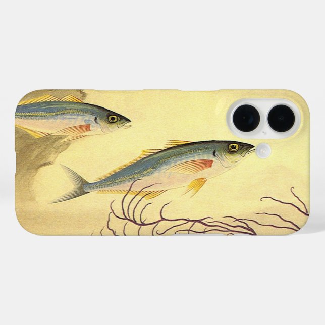 Coques Case-Mate iPhone Maquereau Poisson nager dans l'océan (Verso (horizontal))