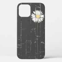 marguerite blanche sur brique grise