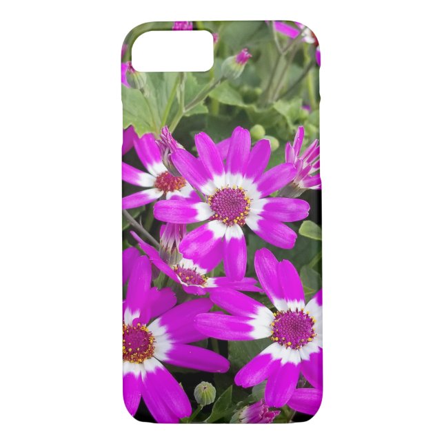 Coques Case-Mate iPhone marguerite rose et blanche (Dos)
