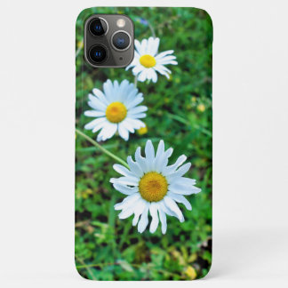 Case-Mate iPhone Case Marguerites oculaires