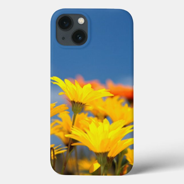 Coques Case-Mate iPhone Marguerites Orange Et Jaune De Namaqualand (Verso)