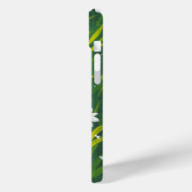 Marguerites sauvages