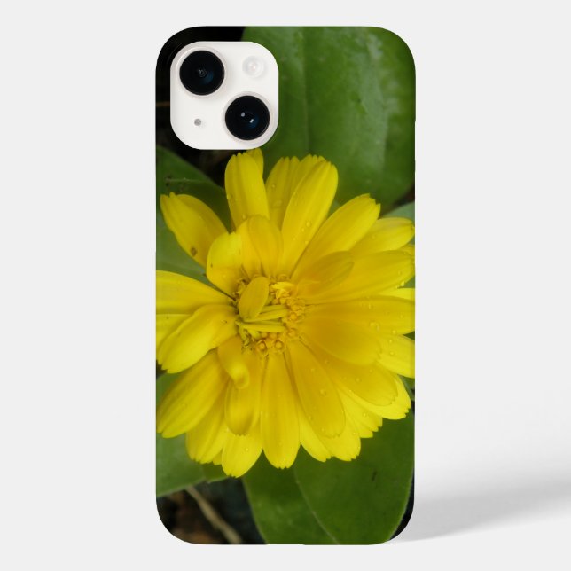 Coques Case-Mate iPhone Marigold jaune vif (Verso)