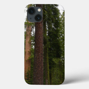 Coques Pour iPhone Mariposa Grove dans le parc national de Yosemite