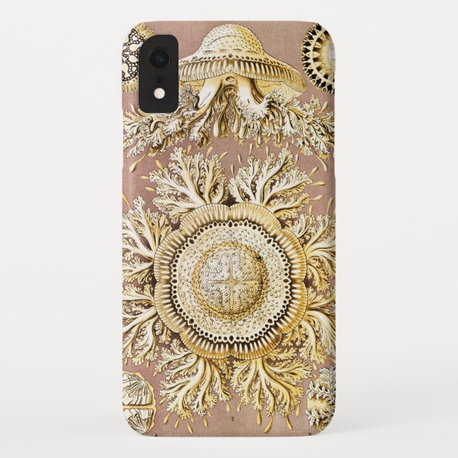 Coques Case-Mate iPhone Méduse, Discomedusae par Ernst Haeckel (Dos)