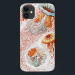 Case-Mate iPhone Case Méduse, Discomedusae par Ernst Haeckel<br><div class="desc">Méduse,  Discomedusae Scheibenquallen par Ernst Haeckel</div>