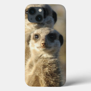 iPhone 13 Coque Meerkat