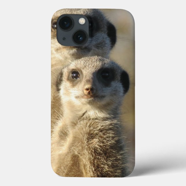 Coques Case-Mate iPhone Meerkat (Verso)