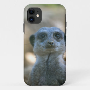 Coques Pour iPhone Meerkat