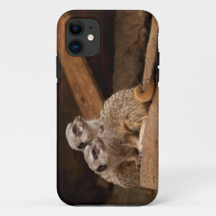 Coque Case-Mate Pour iPhone Meerkat iPhone 5