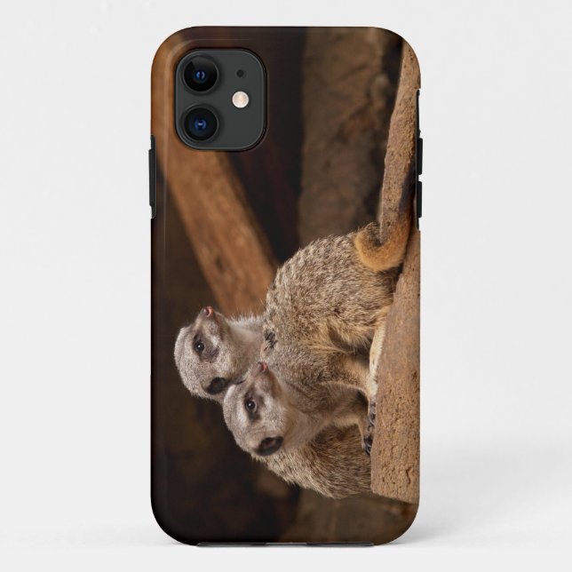 Coques Case-Mate iPhone Meerkat iPhone 5 (Dos)