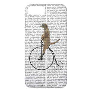 Coque Case-Mate iPhone Meerkat sur Black Penny Farthing