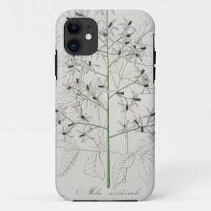 Coques Pour iPhone Melia Azedarach de "Phytographie Medicale" par Jo