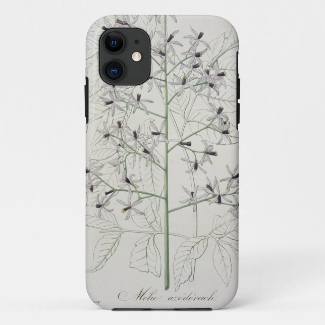 Coques Case-Mate iPhone Melia Azedarach de "Phytographie Medicale" par Jo (Dos)