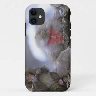 Coques Pour iPhone Mère et enfant singe des neiges, Jigokudani, Nagan