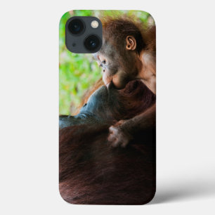 iPhone 13 Case Mère orang-outan et bébé