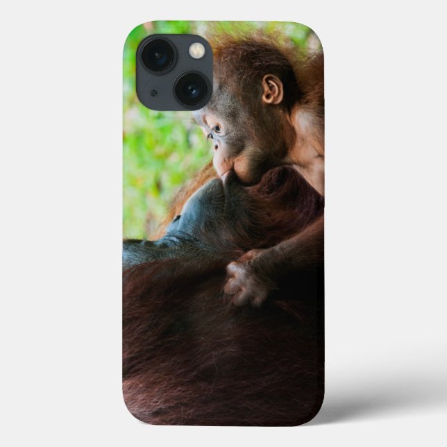 Coques Case-Mate iPhone Mère orang-outan et bébé (Verso)