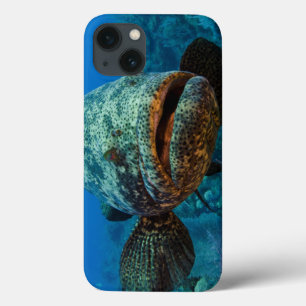 Case-Mate iPhone Case Mérou atlantique de Goliath