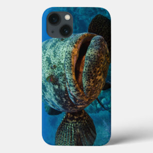 Etui iPhone 13 Mérou atlantique de Goliath