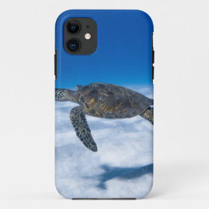 Case-Mate iPhone Case Merveilleuse tortue aquatique