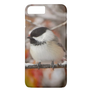 Coque iPhone 7 Plus Mésange à tête noire adulte dans la neige