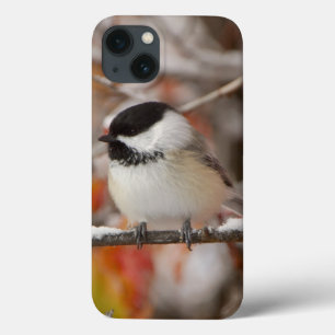 iPhone 13 Case Mésange à tête noire adulte dans la neige