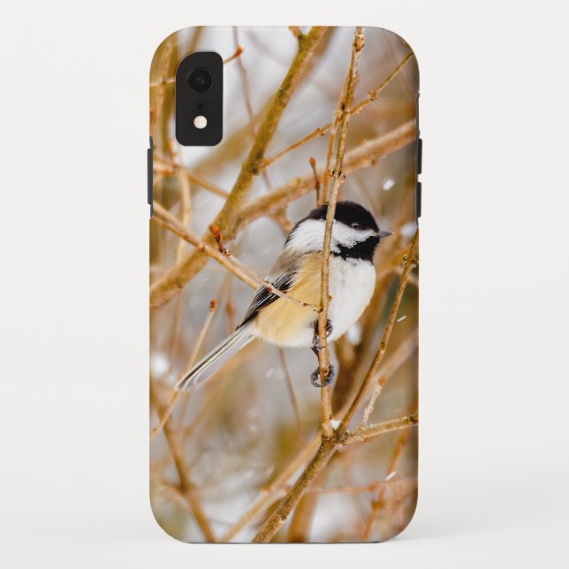 Coques Case-Mate iPhone Mésange à tête noire - Photographie originale (Dos)