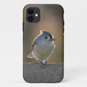 Case-Mate iPhone Case Mésange tuftée