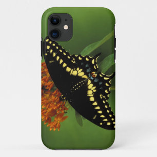 Coques Pour iPhone Michigan, Rochester. Noir américain de l'Est