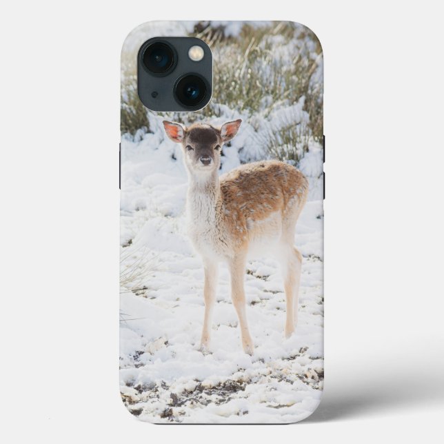 Coques Case-Mate iPhone Mignonne petite Faune dans la neige hivernale 1 #a (Verso)