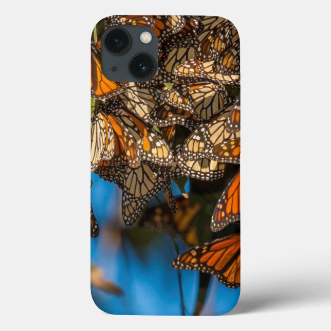 Coques Case-Mate iPhone Migrating monarch butterflies cling to leaves (Verso)