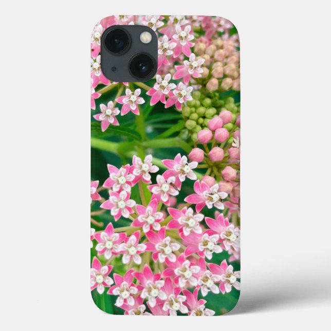 Coques Case-Mate iPhone Milkweed alias Asclepias Summer Blooms (Verso)