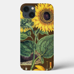 iPhone 13 Case Miller : Tournesol