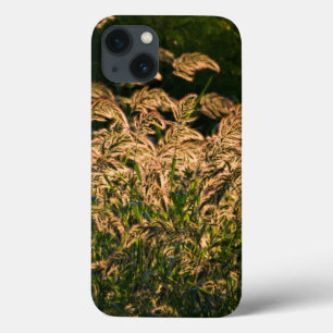 Etui iPhone Case-Mate Millet sauvage (Panicum Sp.) Cultivation En Mer