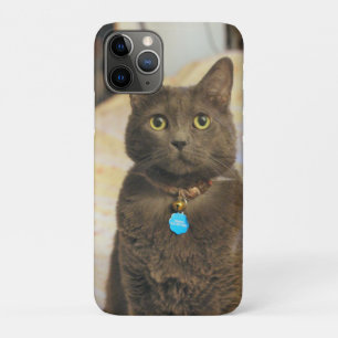 Case-Mate iPhone Case Mims