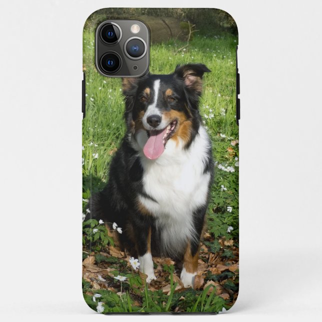 Coques Case-Mate iPhone Miniature American Shepherd Black Tri Assis (Dos)