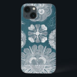 iPhone 13 Coque Modèle IV de vie marine<br><div class="desc">Espèce marine</div>