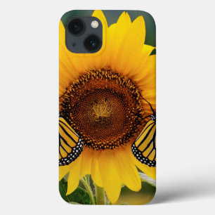 iPhone 13 Case Monarque Butterfies sur le tournesol
